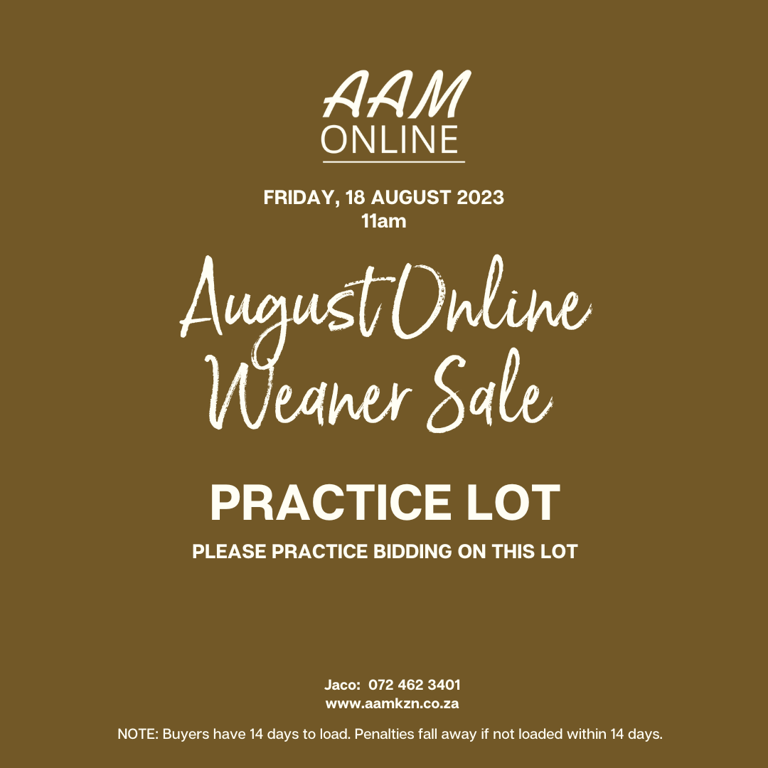 AAM Online Auction Portal